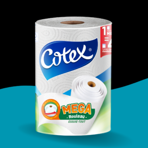 Essuie-Tout 1000 Feuilles